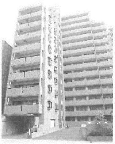外観: