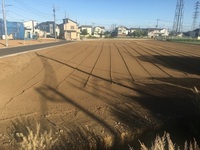 外観:現地写真