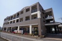 外観: