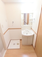 洗面室:シャワー付き洗面化粧台・洗濯機置き場