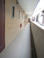 その他現地写真:共用廊下