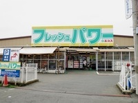 周辺環境:エコス木野目店（900ｍ）