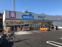 周辺環境:ウェルシア川越岸町店