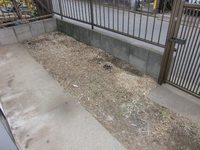 専用庭: