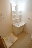 洗面室:シャワー付き洗面化粧台・洗濯機置き場