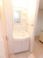 洗面室:シャワー付き洗面化粧台