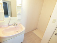 洗面室:シャワー付き洗面化粧台