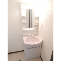 洗面室:シャワー付き洗面化粧台