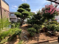 専用庭:専用庭
