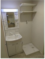 洗面室:シャワー付き洗面化粧台・洗濯機置き場
