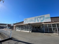 周辺環境:エコス 木野目店