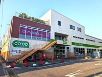 周辺環境:コープ高階店・ダイソーコープ高階店