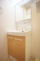 洗面室:シャワー付き洗面化粧台