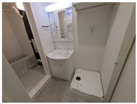 洗面室:シャワー付き洗面化粧台・洗濯機置き場