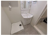 洗面室:シャワー付き洗面化粧台・洗濯機置き場