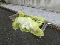 その他共有部:ゴミ置き場