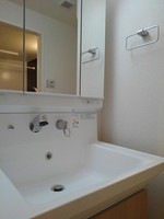 洗面室:シャワー付き洗面化粧台