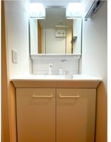 洗面室:シャワー付き洗面化粧台