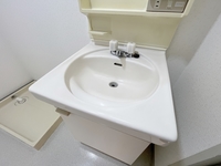 洗面室:シャワー付き洗面化粧台