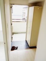 玄関:玄関