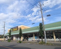周辺環境:いなげや新河岸店