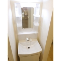 洗面室:シャワー付洗面化粧台