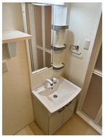 洗面室:シャワー付き洗面化粧台