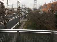 バルコニー:バルコニー